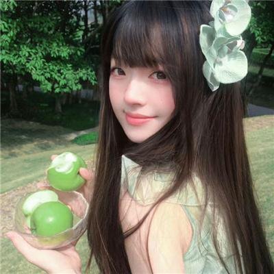 飞燕惊鸿
