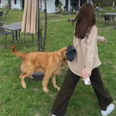 传教士第三季